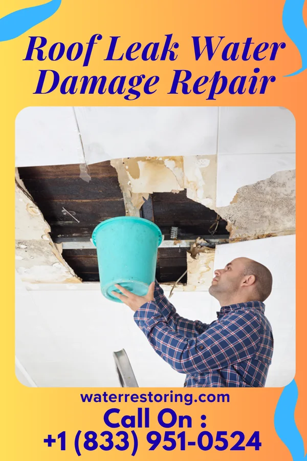 Roof Leak Water Damage Repair in Shreve, OH