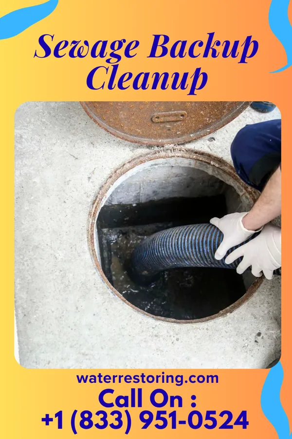 Sewage Backup Cleanup in Shreve, OH